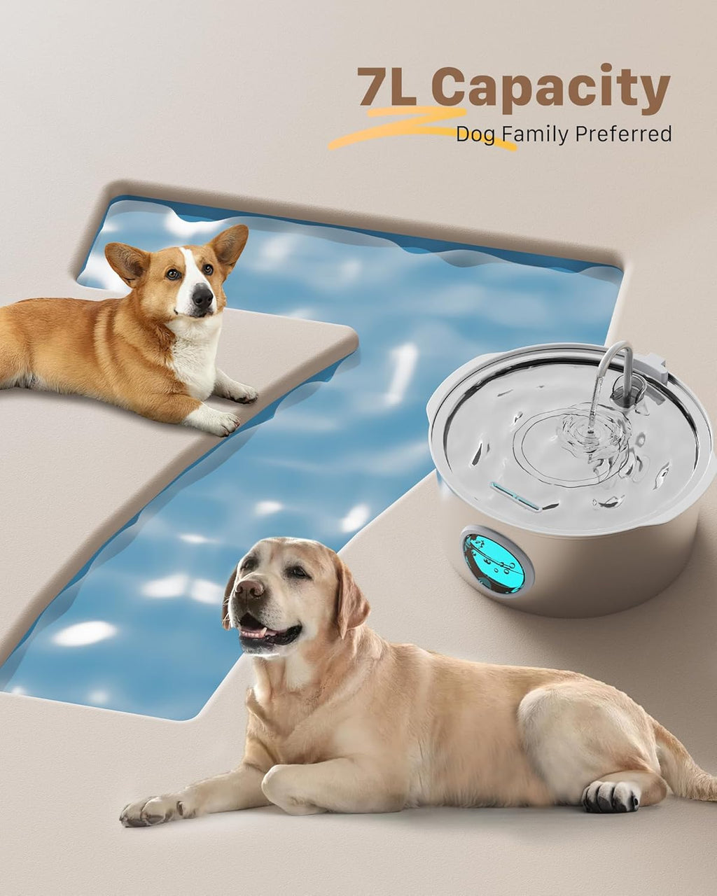 Add Years to Your Dog's Life with Bark Spring's Triple-Filtration System